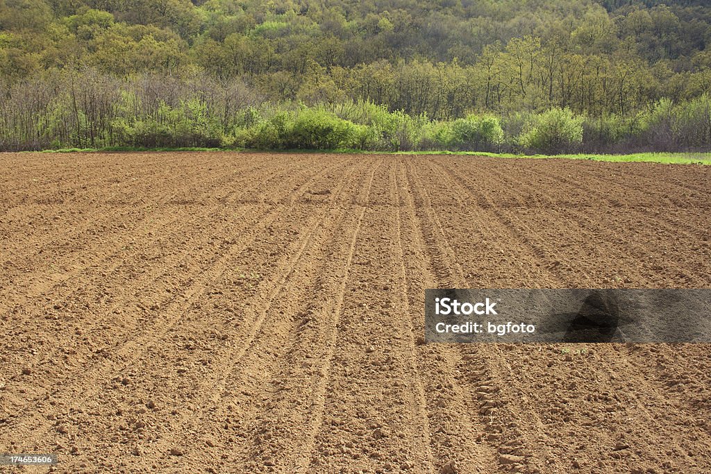 Harrowed field - Lizenzfrei Abstrakt Stock-Foto