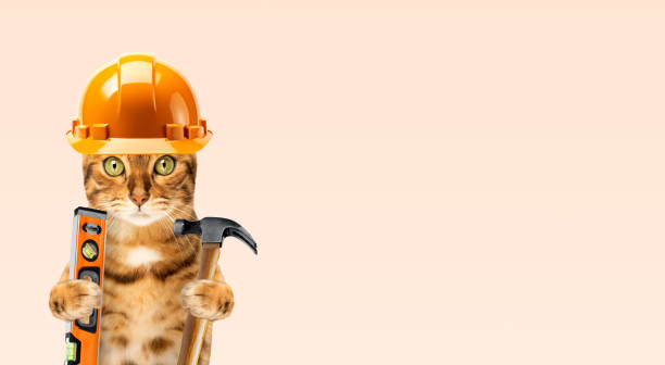 istock Funny cat in a construction helmet on a beige background. 1746541319