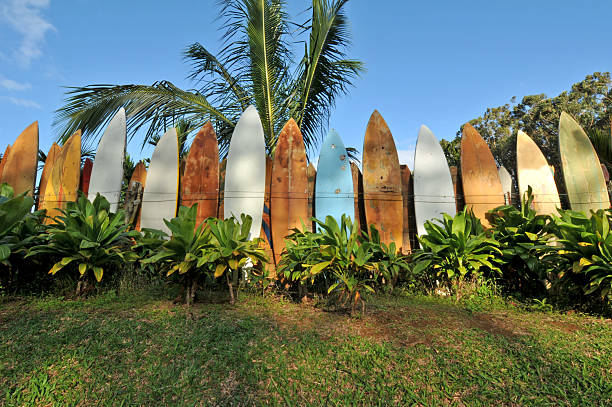 istock Surfboard fence lit by sunrise 174654433