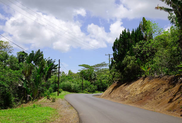 istock Rural road in Mauritius Island 1746548266
