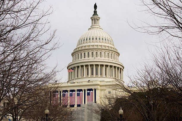 presidente barack obama di insediamento, washington dc capitol building - inauguration into office washington dc barack obama capitol building foto e immagini stock