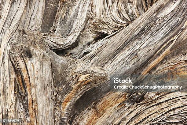 Juniperus Osteosperma ツリー木目 - ひびが入ったのストックフォトや画像を多数ご用意 - ひびが入った, アメリカ南西部, アメリカ西部