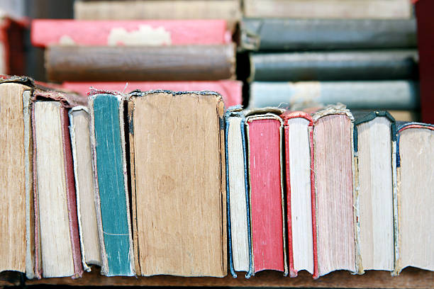 istock Row of Antique Books 174655124