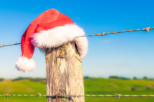 A santa hat on the fencepost of a field in the New Zealand countryside.