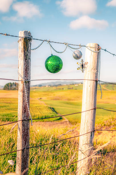 istock Christmas in summer on the farm 1746552388