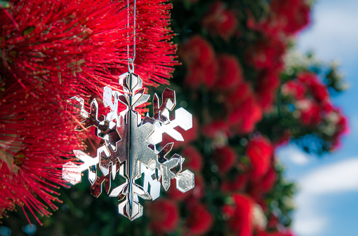 Close-up of a silver snowflake decoration, hanging in a Pohutukawa Tree, flowering in December.