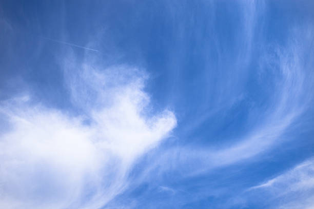 White wispy clouds and airplane contrail (XXXLarge) Photo of a blue sky background and some wispy white clouds with an airplane and white contrail stratosphere meteorology climate air stock pictures, royalty-free photos & images
