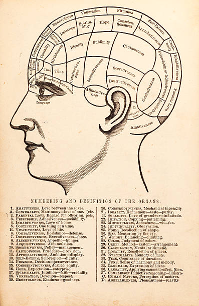 Vintage Phrenology Diagram Vintage etching of phrenological diagram with definitions of the various areas of the human skull.  19th c. etching from book published 1859. vintage medical diagrams stock illustrations