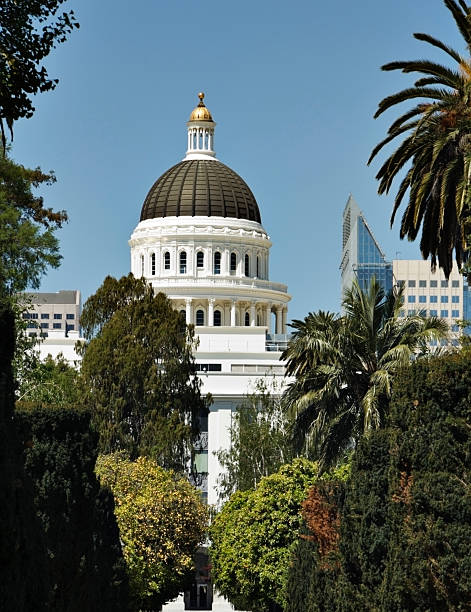 istock Capitol Skyline Sacramento California 174655630