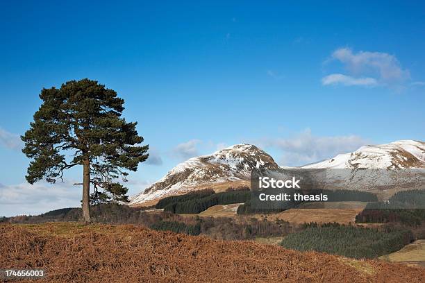 Campsie Fells Stock Photo - Download Image Now - Campsie Fells, Beauty In Nature, Blue