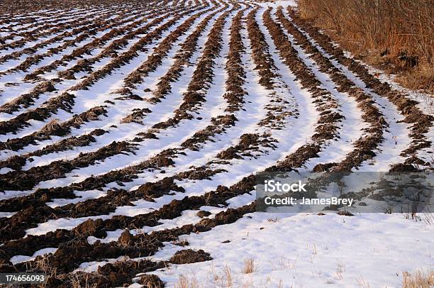 Congelados Campos Aguardar A Primavera - Fotografias de stock e mais imagens de Agricultura - Agricultura, Ajardinado, Campo agrícola