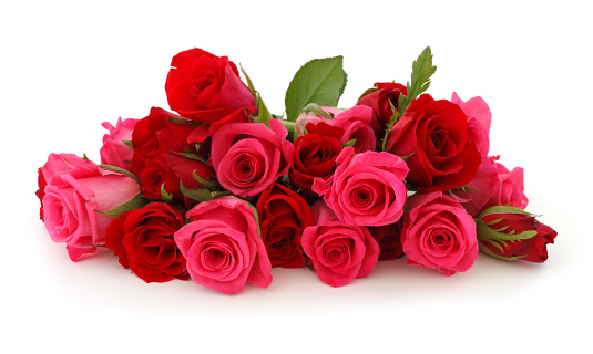 Bouquet de rosas rosadas aislado photo