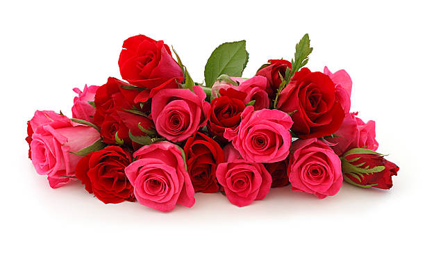 bouquet di rose rosa isolato - rose valentines day bouquet red foto e immagini stock
