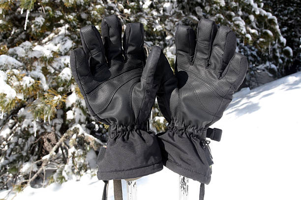 istock pair of gloves 174656880