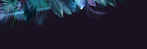 istock Tropical elegant banner arranged from exotic emerald leaves Design vector. Paradise plant, greenery chic card 1746569224