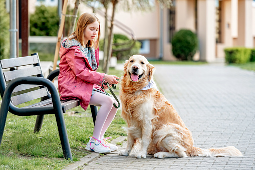 Girl with golden retriever dog sitting on bench outdoors in sunny day in city. Female child kid and pet doggy labrador at street