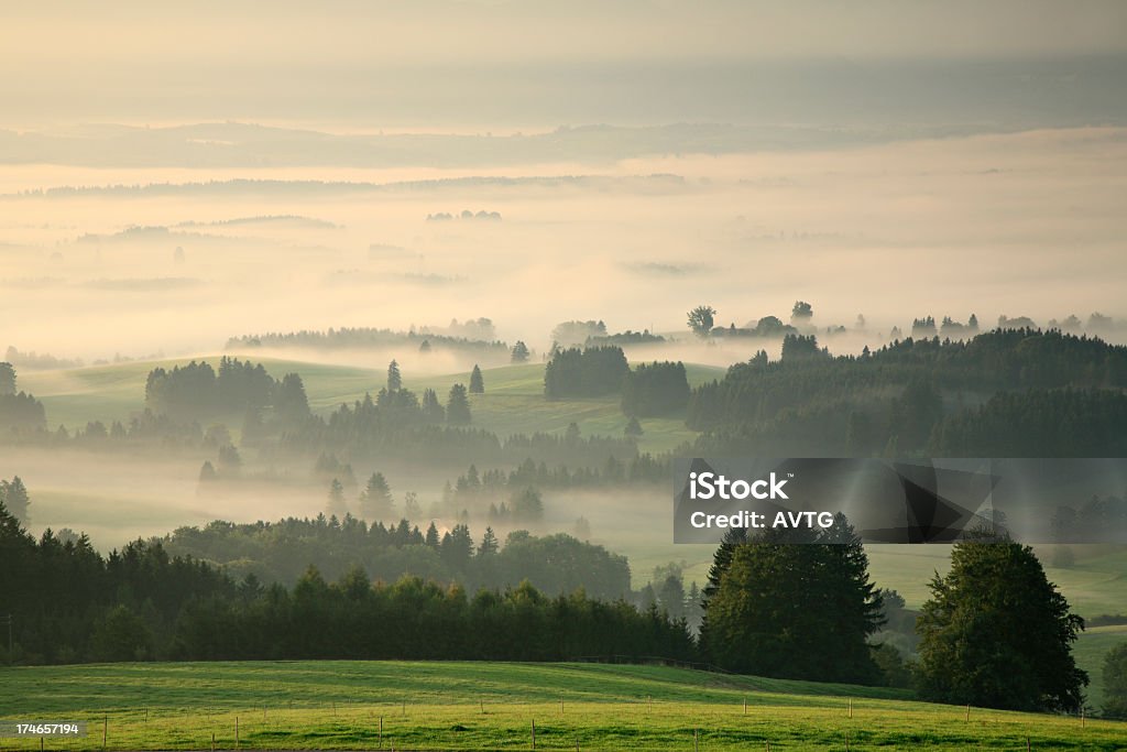 Misty paisaje al atardecer - Foto de stock de Aire libre libre de derechos