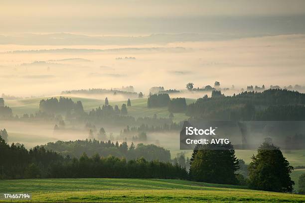 Misty Paisaje Al Atardecer Foto de stock y más banco de imágenes de Aire libre - Aire libre, Ajardinado, Allgau