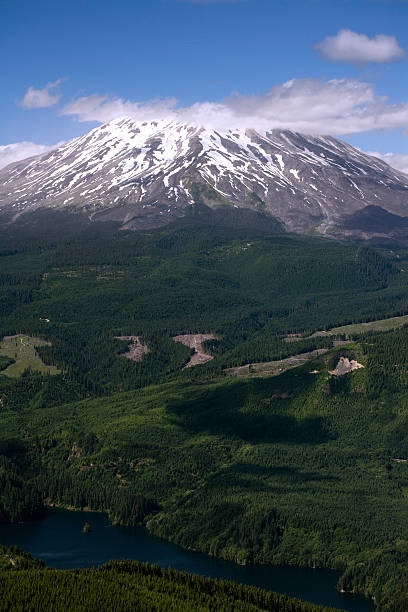 monumento nacional de mount saint helens, washington - nature active volcano mt st helens volcano fotografías e imágenes de stock