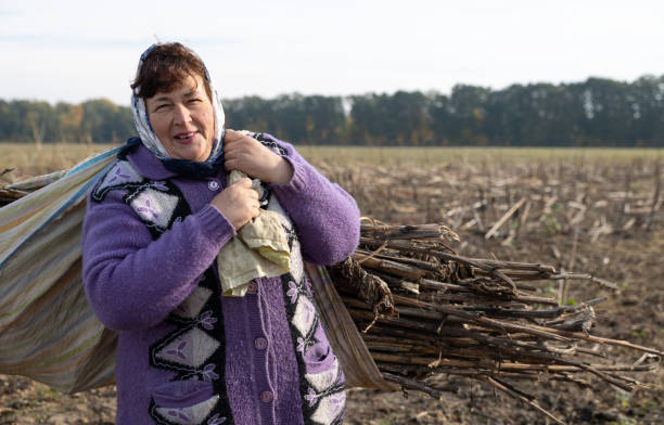 Portrait of a mature woman who works in an agricultural field. The mature woman carries a bunch of dry sunflower stems after harvesting in an agricultural field. rag picker stock pictures, royalty-free photos & images