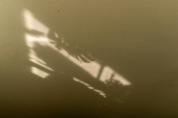 istock Shadow from the sun on a black and white background, on a coffee shop ceiling. 1746577883