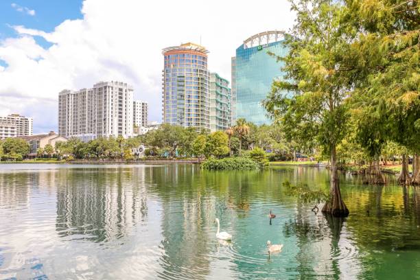 istock Swans at Lake Eola Park in Orlando Florida 1746580049