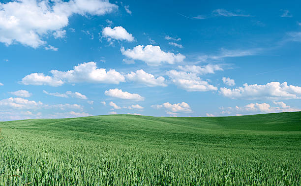 istock Spring landscape 47MPix - XXXXL size 174658790