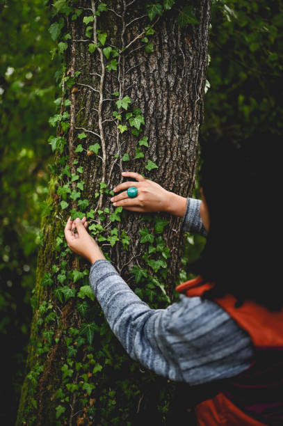 istock woman's hands touching plants in woods. 1746588030
