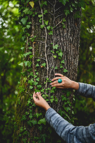 istock woman's hands touching plants in woods in summer. 1746588035