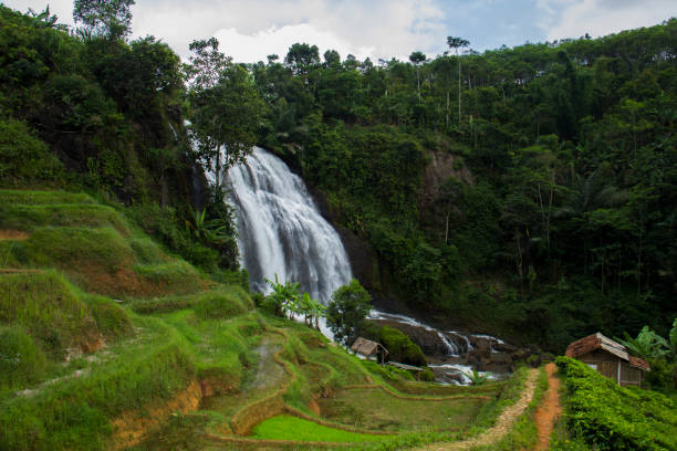 istock cikondang waterfall with forest and rice paddies 1746589673