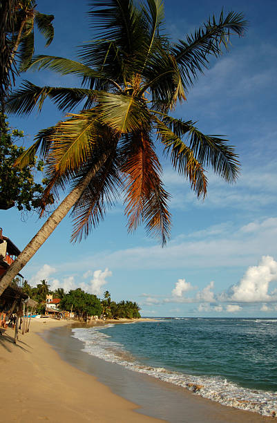 istock Unawatuna Beach, Sri Lanka 174658989