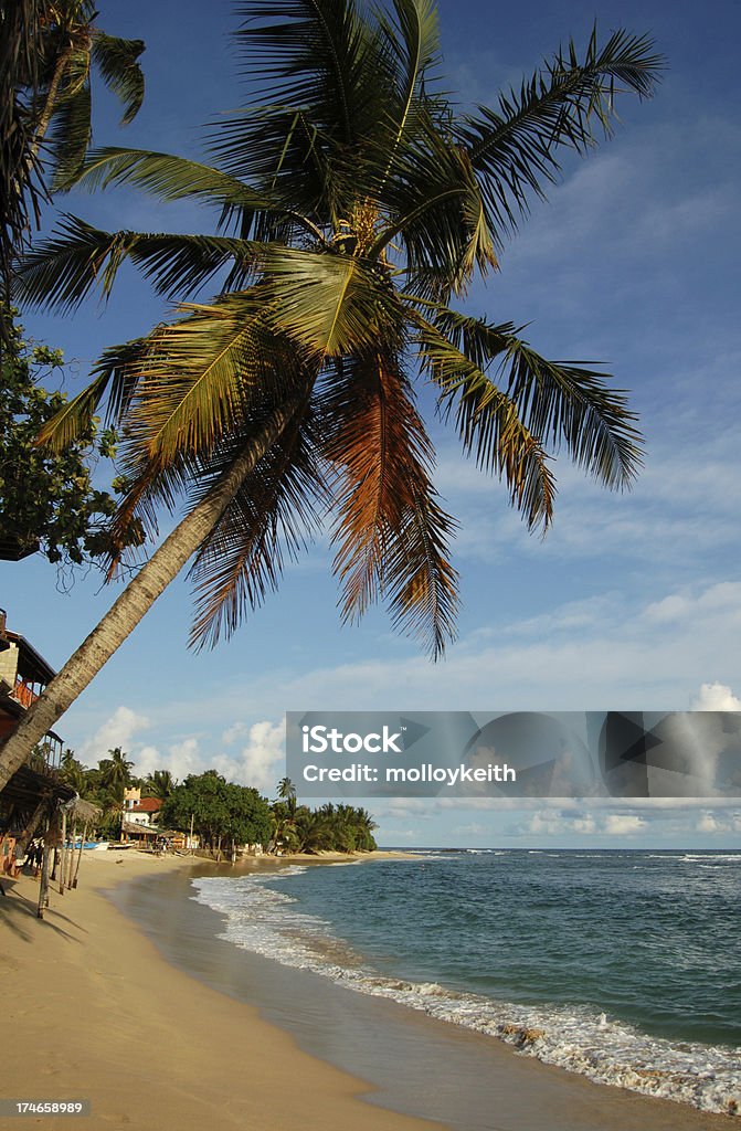Praia de Unawatuna, Sri Lanka - Foto de stock de Areia royalty-free