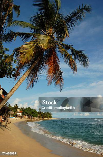Foto de Praia De Unawatuna Sri Lanka e mais fotos de stock de Areia - Areia, Beleza natural - Natureza, Cena de tranquilidade