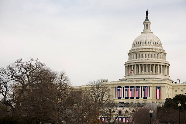 istock President Barack Obama's Inauguration, Washington DC Capitol Building 174659004