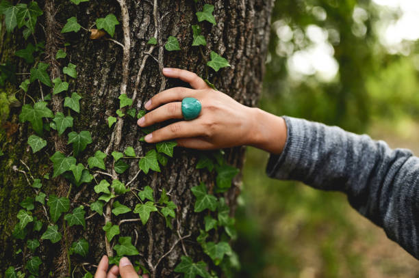 istock close up of multiracial woman's hand touching leaves on a tree. 1746590245