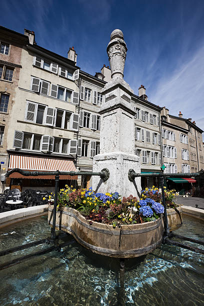 istock Old Town Fountain in Geneva 174659355