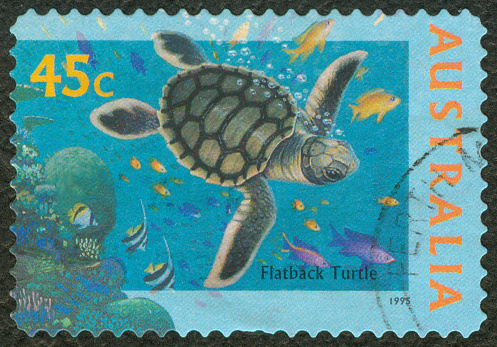 Hawksbill Sea Turtlem Eretmochelys Imbricata, the primary source of \