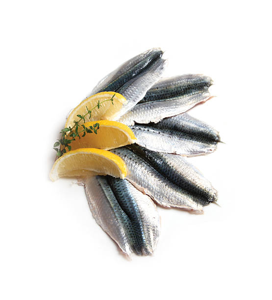Lemon Fish Fillets stock photo