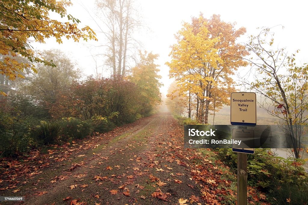 Outono na Snoqualmie Valley Trail - Foto de stock de Trilha - Passagem de Pedestres royalty-free