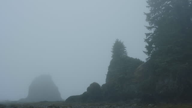 Morning view of rocky rugged PNW coastline covered in dense fog