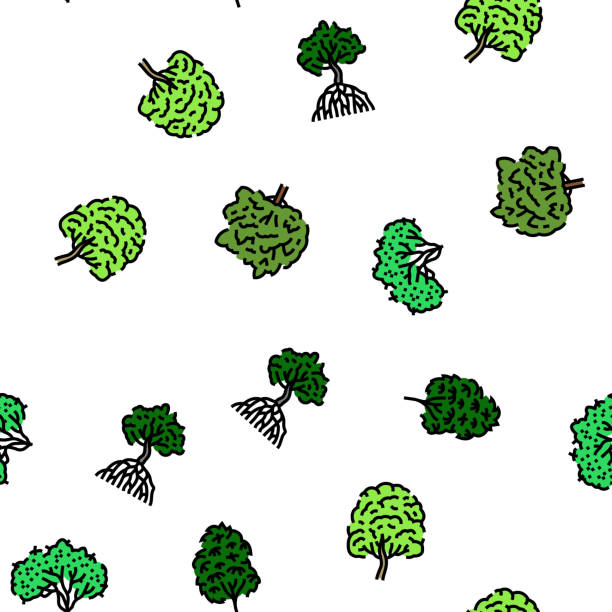 20+ Amazon Rainforest Above Stock Illustrations, Royalty-Free Vector ...