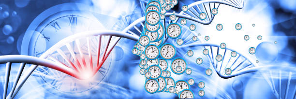 Abstract image of a person's profile symbolically composed of dials of different sizes