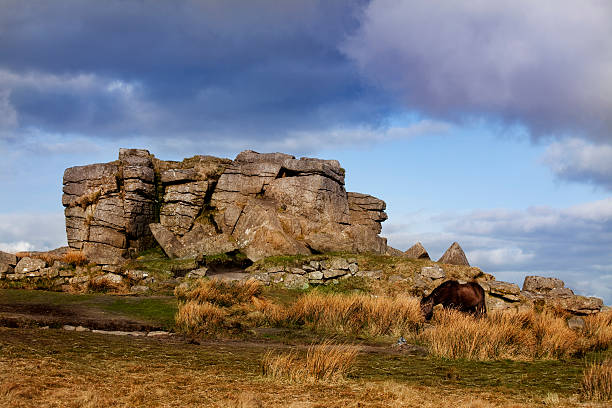 istock Horse on Dartmoor 174661316