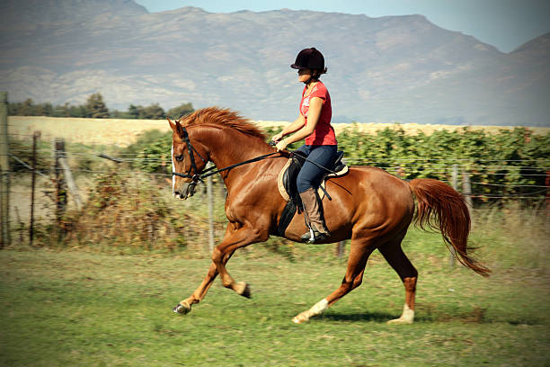 Person riding horse at ranch