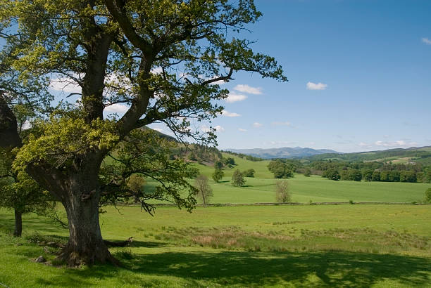 View from the scenic tourist road A822 (between Dunkeld and Crieff) towards the fields at Monzie and distant mountains.