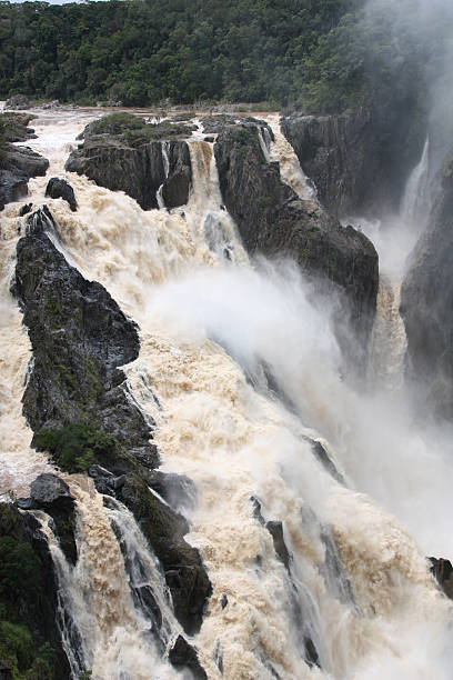 cascatas - cairns monsoon queensland waterfall imagens e fotografias de stock