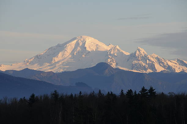 Mount Baker "An evening view of Mount Baker in the Cascade Range, Near Bellingham, Washington." mt baker stock pictures, royalty-free photos & images