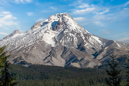 Mt Hood, Oregon, towering over the Pacific Northwest forest trees