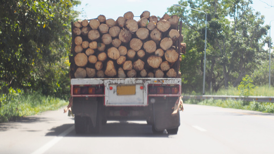 Large Truck Transporting Wood on the road.