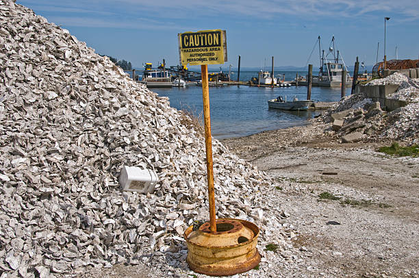istock Oyster industry in Washington state 174663244